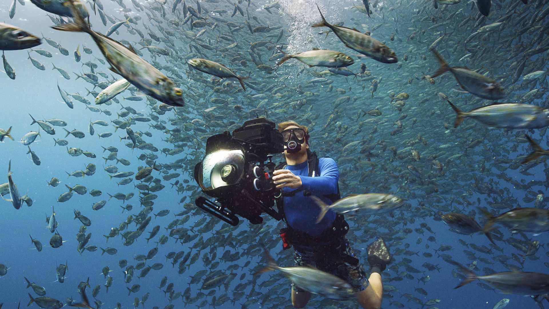 Bertie Gregory filming underwater